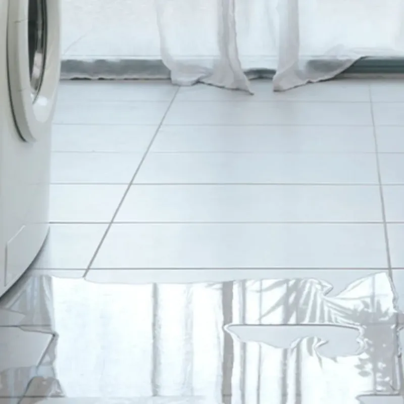 Appliance Leak Cleanup in Priceville, AL