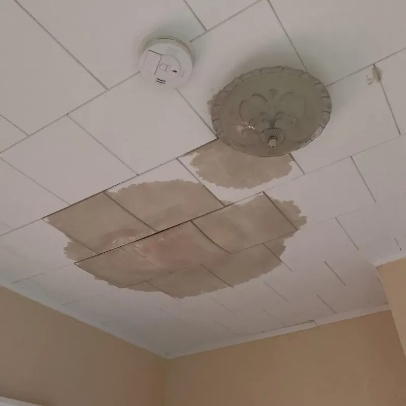 Ceiling Water Damage Repair in Priceville, AL