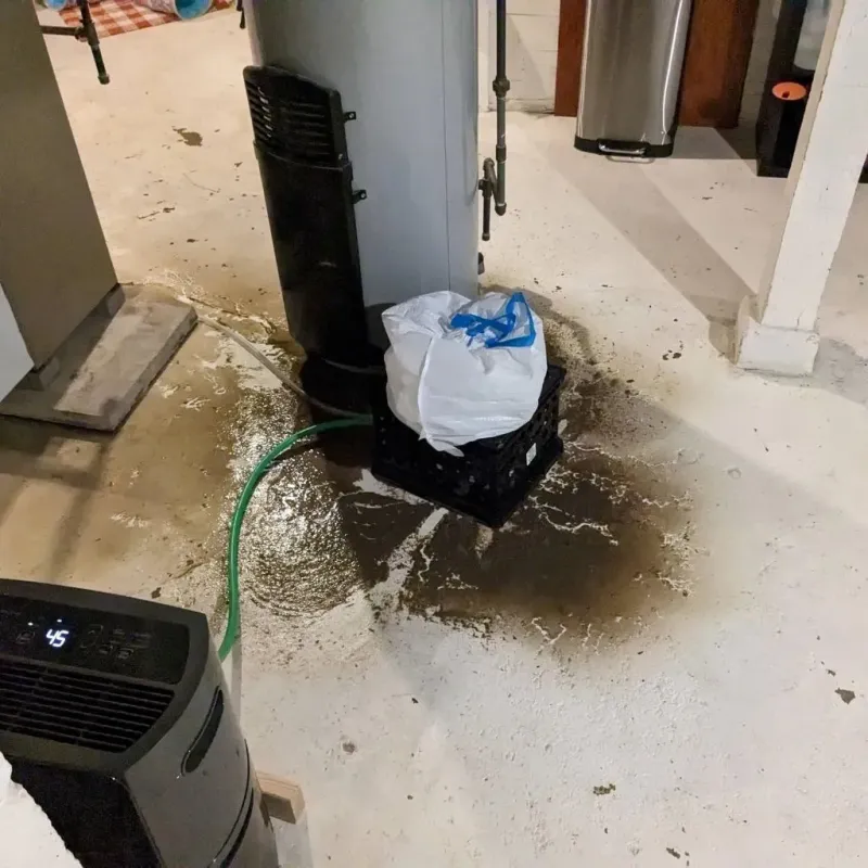 Sewage Backup Cleanup Service in Priceville, AL